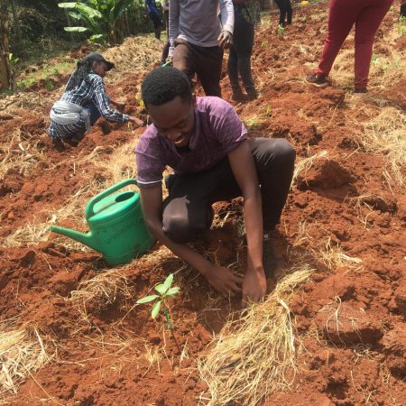 da937e64-74ff-466c-ae1c-87c5ee7357c3